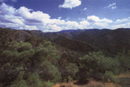 Troodos